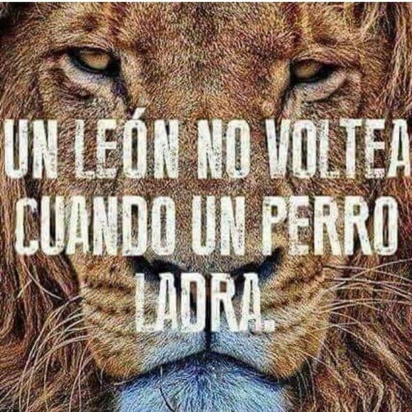 Meet your Posher, Gabriela - Picture 1 of 1